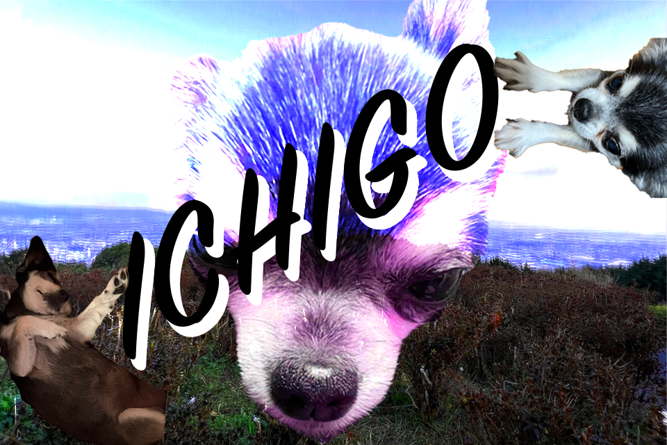 合成写真/視覚デザイン演習